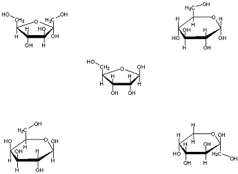 572_Carbohydrate molecules.png